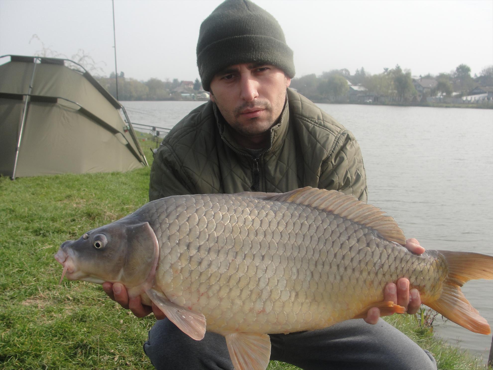 Moara Vlasiei  - dsc00768.JPG